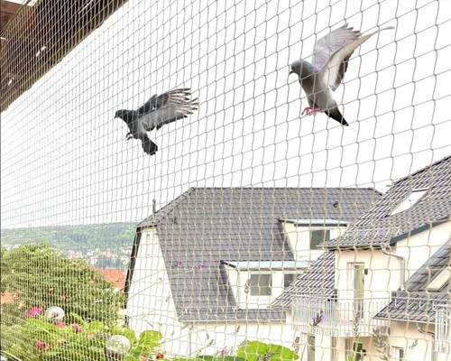 Residential Bird Netting